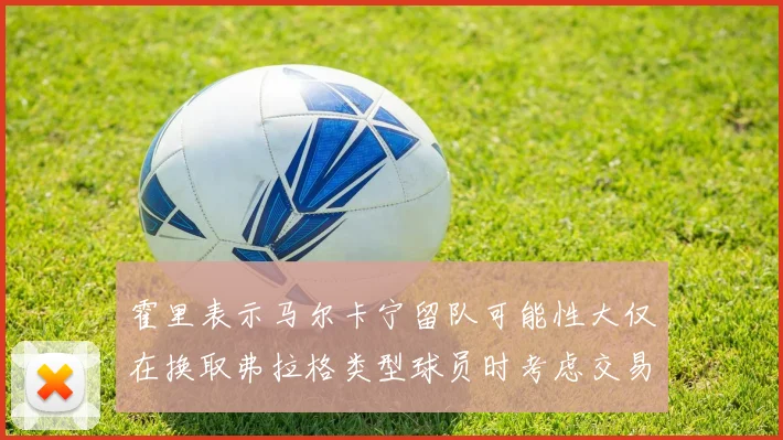 霍里表示马尔卡宁留队可能性大仅在换取弗拉格类型球员时考虑交易