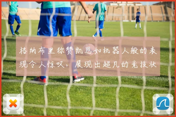 格纳布里称赞凯恩如机器人般的表现令人惊叹，展现出超凡的竞技状态